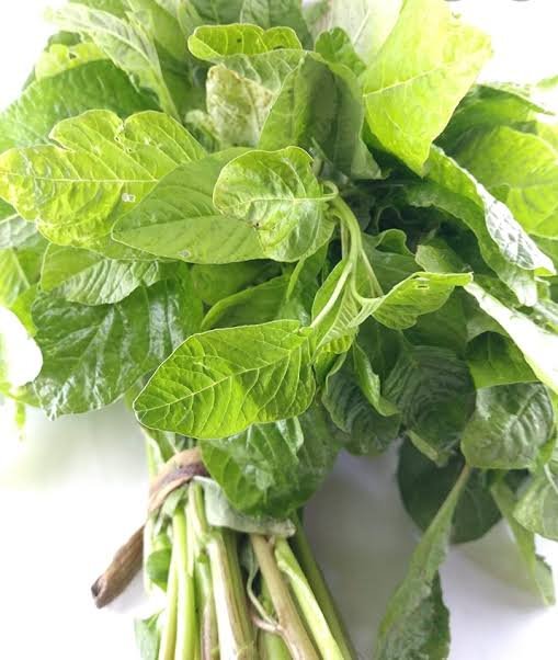 Green Amaranth (Note Shak)